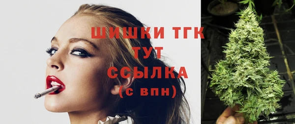 прущие крисы Тайга