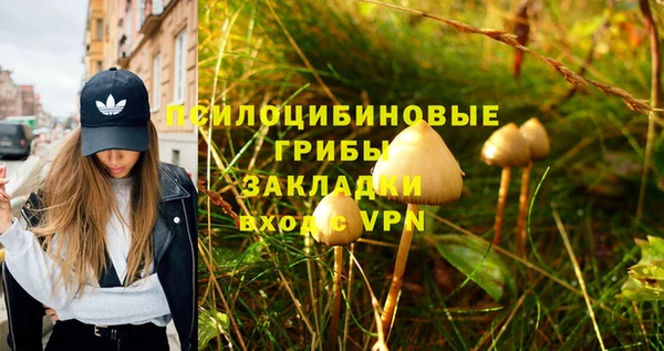 соль ск Струнино