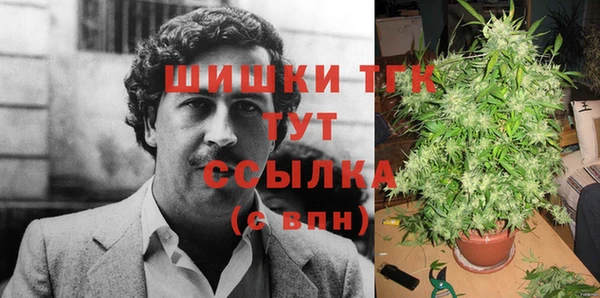 соль ск Строитель