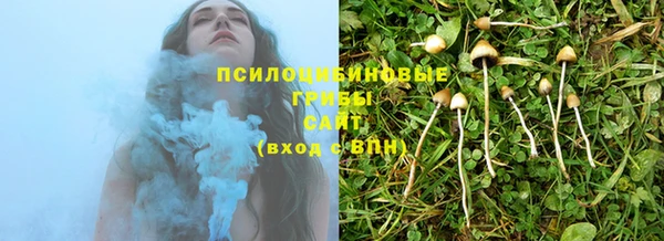 соль ск Строитель