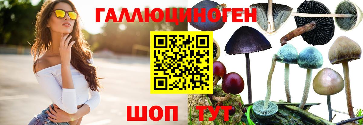 купить наркоту  Вход с VPN  Галлюциногенные грибы мухоморы  Славянск-на-Кубани  Псилоцибиновые грибы Cubensis 