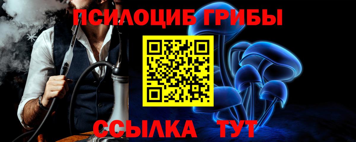 Галлюциногенные грибы GOLDEN TEACHER Славянск-на-Кубани